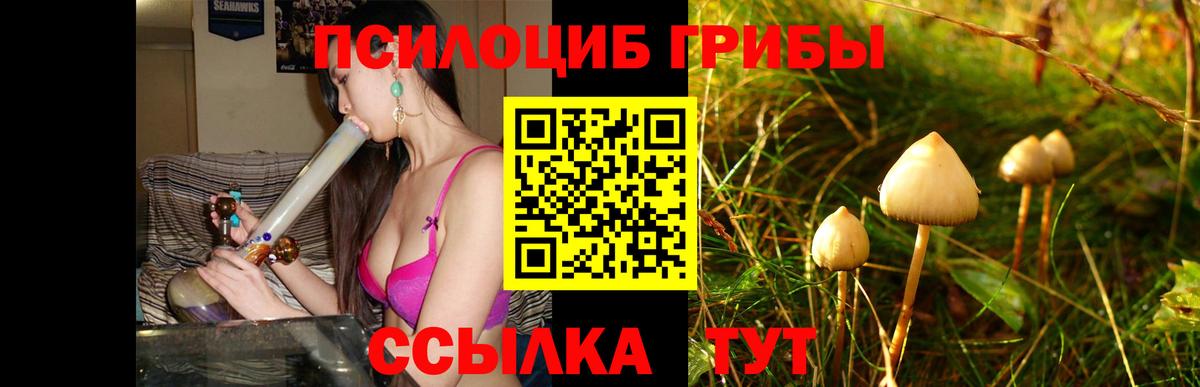 Галлюциногенные грибы мухоморы Гусев